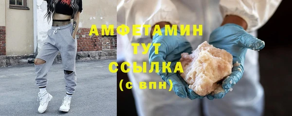 гидра Верхний Тагил