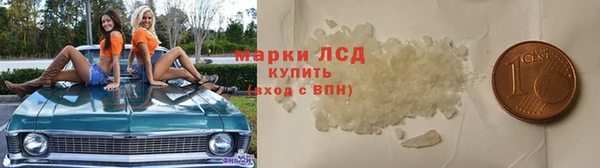 гидра Верхний Тагил