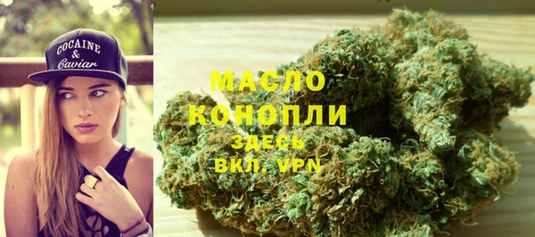 гидра Верхний Тагил