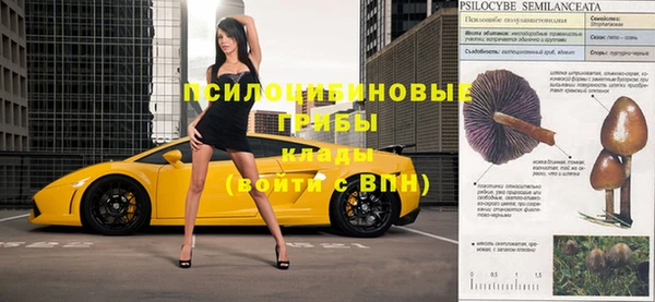 гидра Верхний Тагил