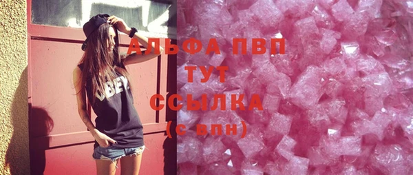 гидра Верхний Тагил