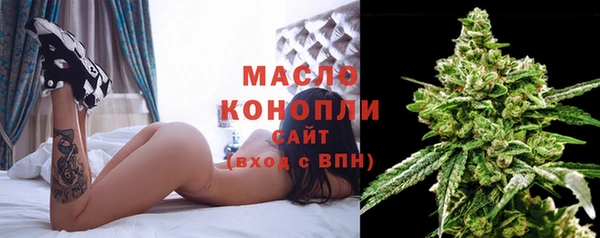 гидра Верхний Тагил