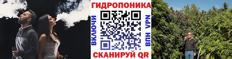 KRAKEN как зайти  дарнет шоп  Снежинск  Конопля гибрид 
